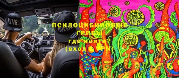 a pvp Алзамай